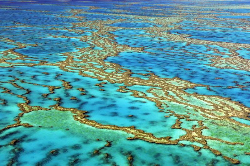 Great Barrier Reef