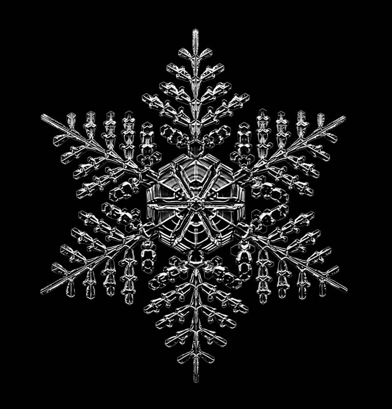 Stellar Snowflake