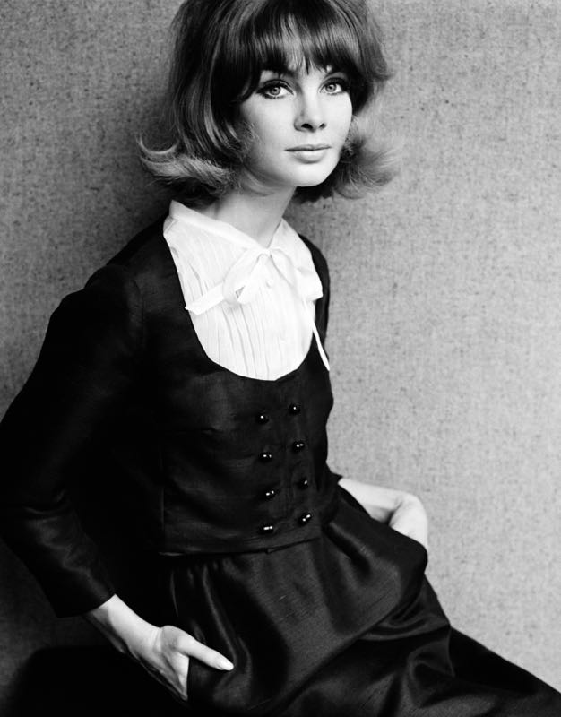 Shrimpton In Dior