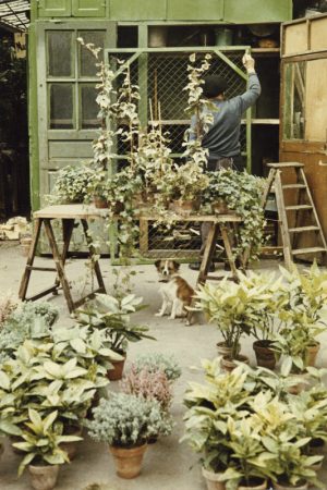 Paris Flower Market