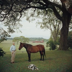 Prize Trotter