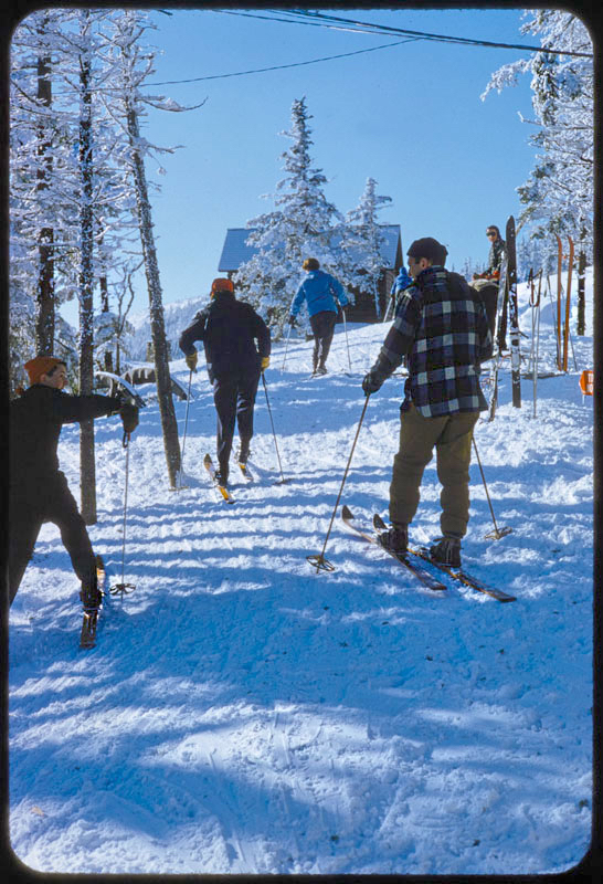 Skiers In The Woods