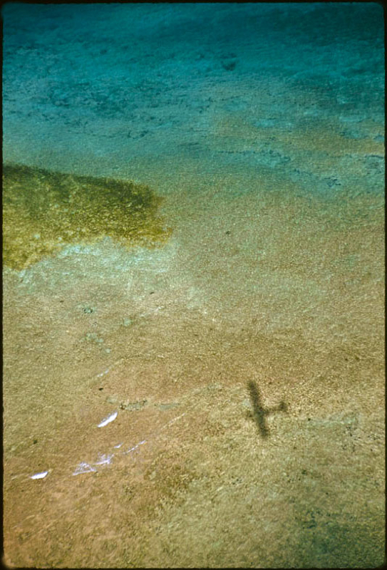 Shadow In The Sea