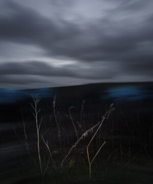 Salisbury Plain